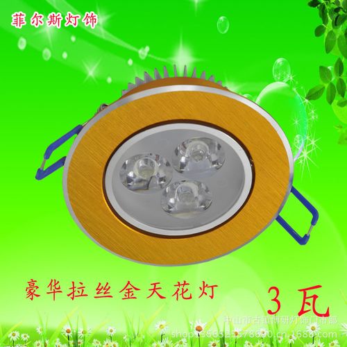 LED大功率射灯拉丝金天花射灯 家装商用工程照明的优选之选，古镇厂家实力解析